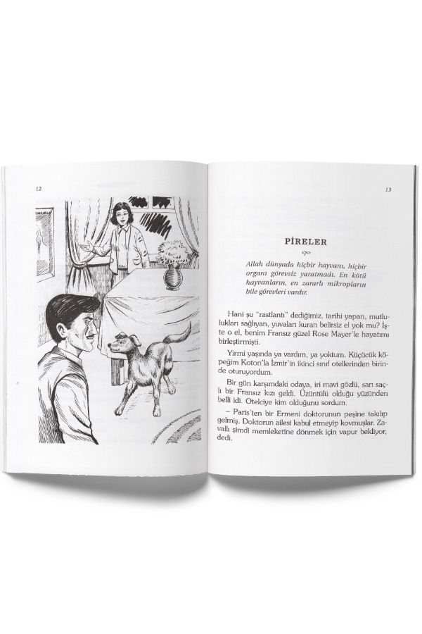 Ömer Seyfettin Dizisi - 10 Kitap - 2
