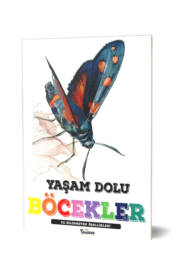 Yaşam Dolu Böcekler Ve Bilinmeyen Özellikleri
