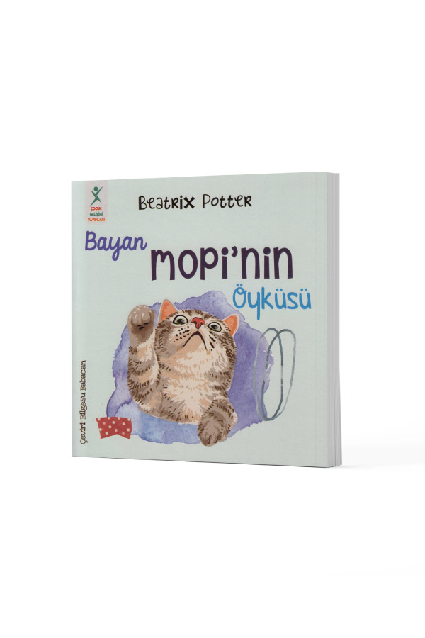 Zencefil Ve Turşu